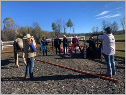 Stable Connections Team Building Programs